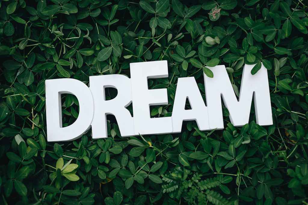 Dream a Little&nbsp;Dream