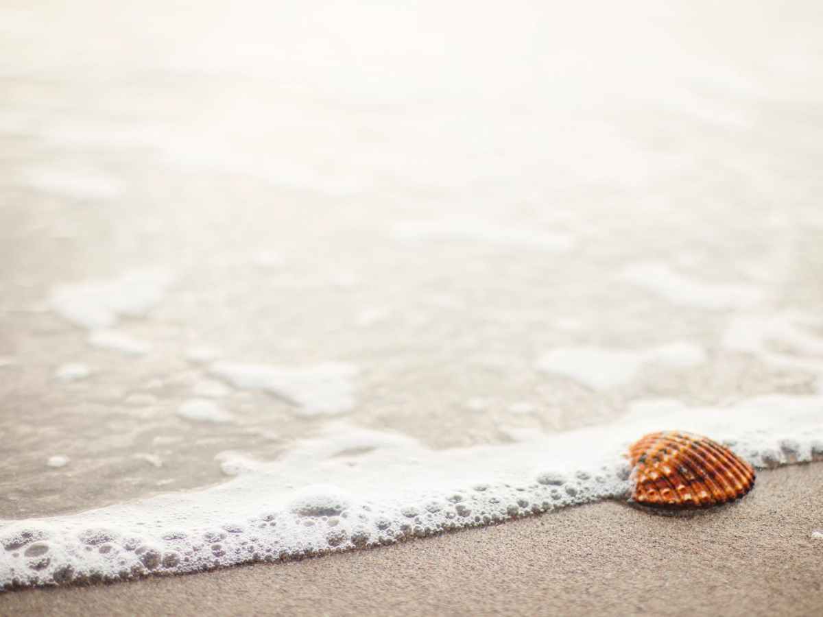 Broken and Beautiful